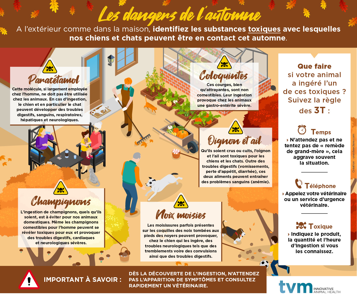 dangers automne